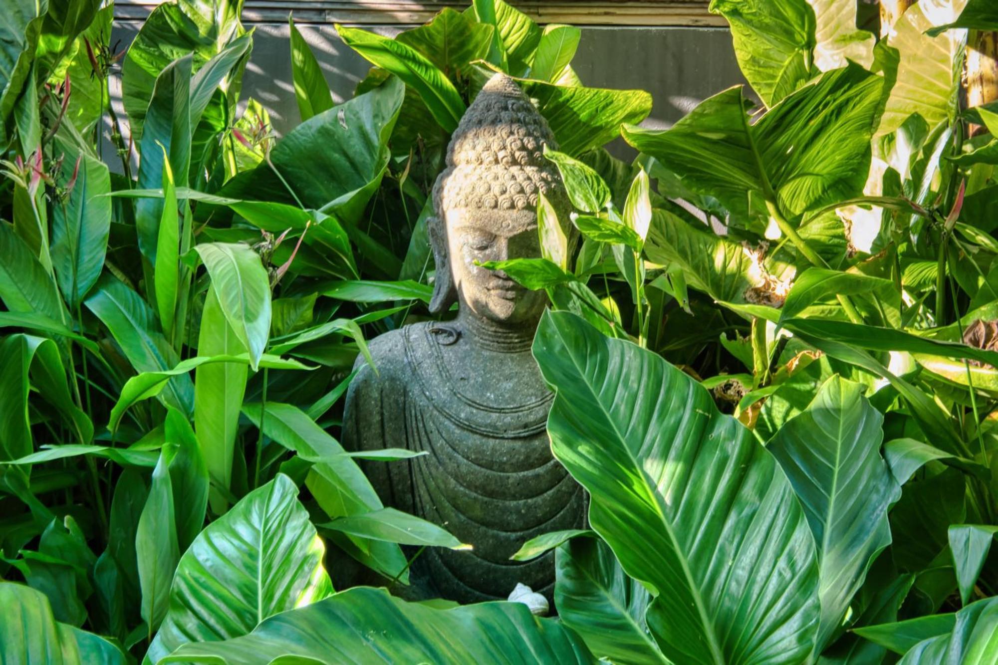 卢纳将军城 Kajali Siargao酒店 外观 照片